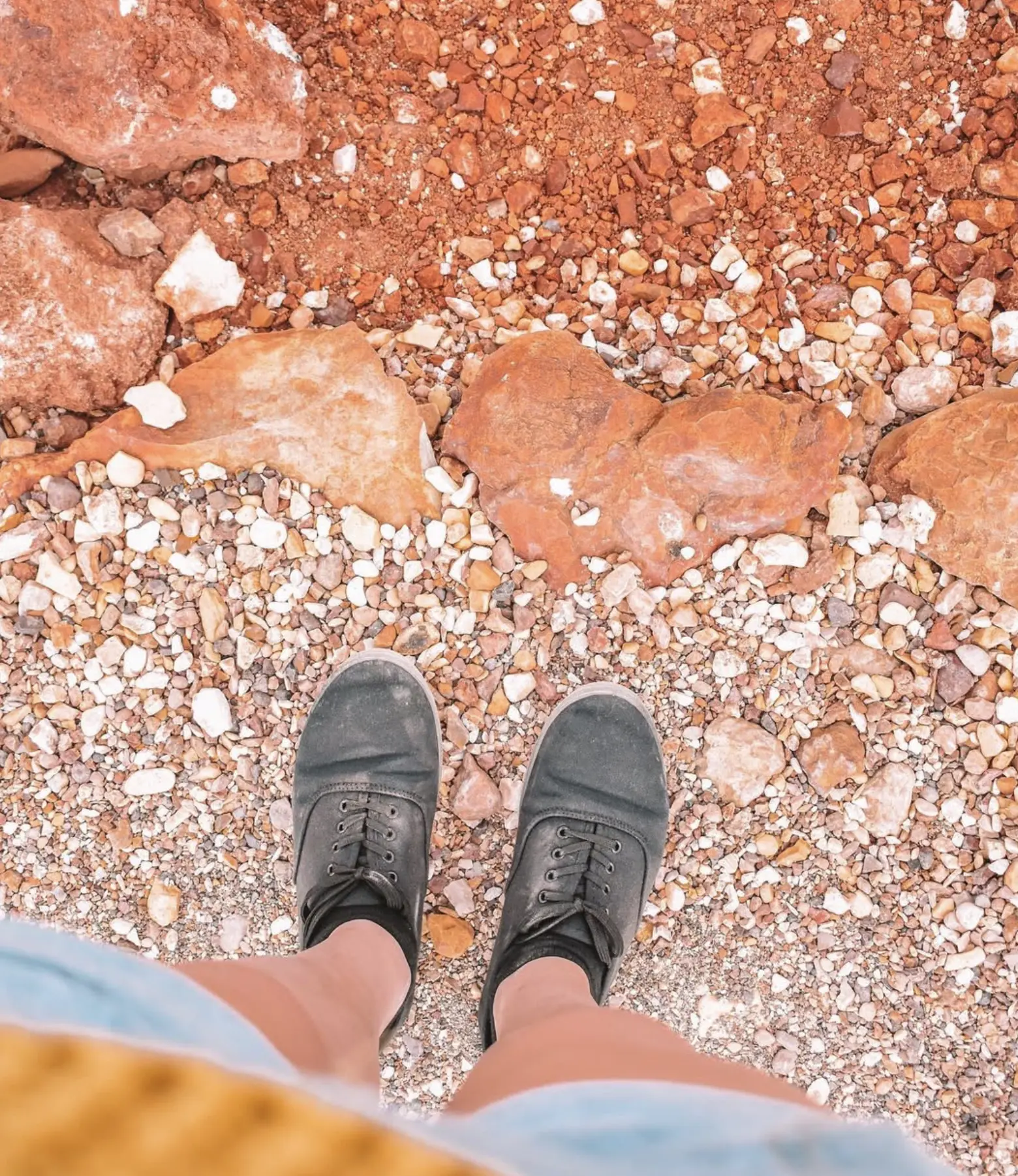 Kangaroo tracks